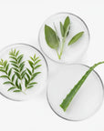 Detergente Ph 4,5 a base di Salvia, Aloe e Tea Tree 200 ml